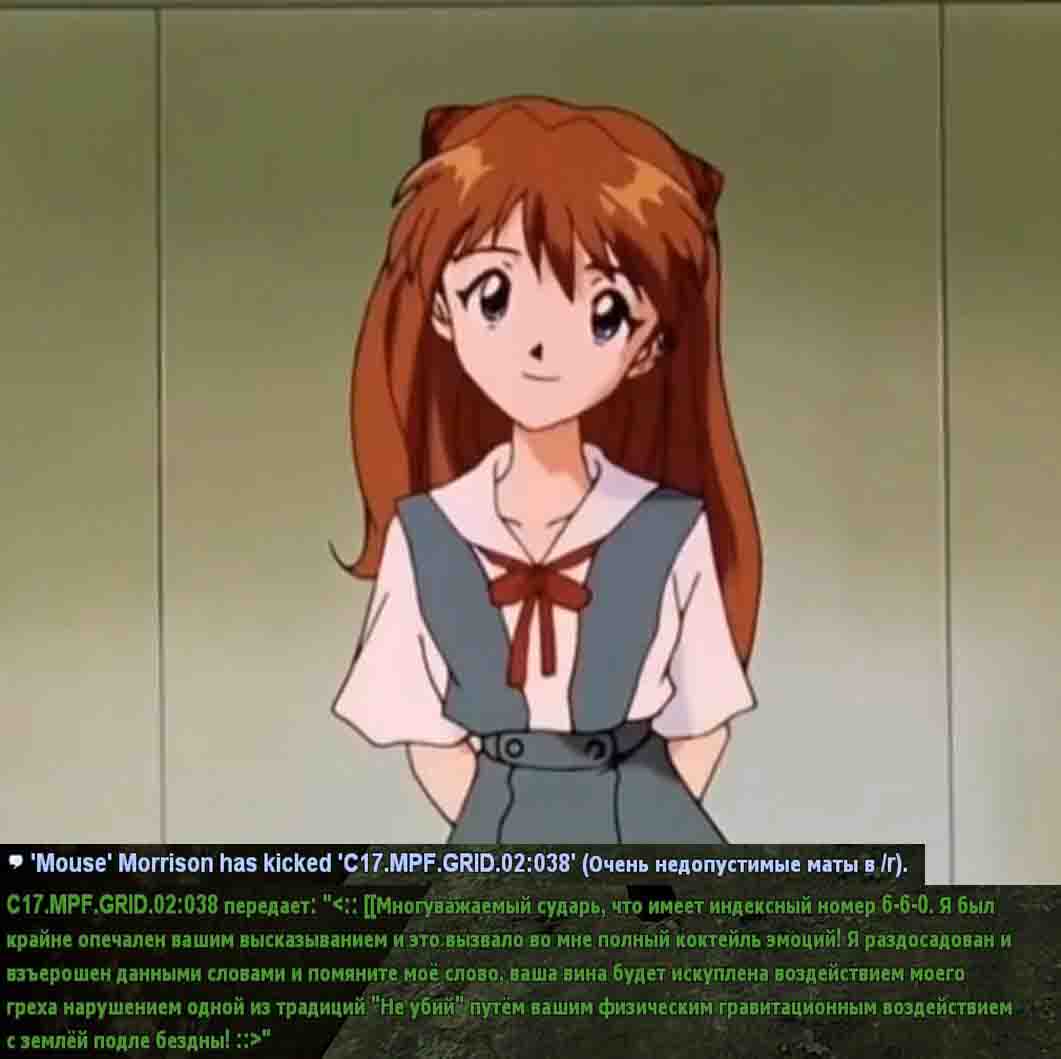 kotik2.jpg
